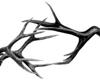 Deer Book Front